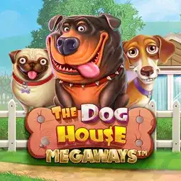 The Dog House Megaways game at Superb Casino for United Kingdom players