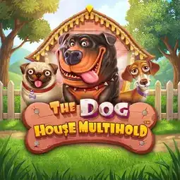 The Dog House Multihold game at Superb Casino for United Kingdom players